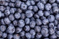 Blueberry Royalty Free Stock Photo