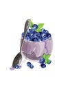 Blueberry bowl with fresh fruits Royalty Free Stock Photo