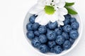 Blueberry in bowl isolated on white background. Copy space. Top view. Royalty Free Stock Photo