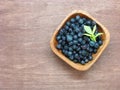 Blueberry bowl on vintage background with copyspace. Royalty Free Stock Photo