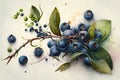 Blueberry branch with berries and leaves. Watercolor hand drawn illustration Royalty Free Stock Photo