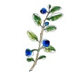 Blueberry branch watercolor illustration isolated on white. Forest Plant with Blue Berries and leaves. Sketch element