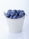 Blueberry in a bucket