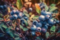 Blueberry bush closeup. Generate AI