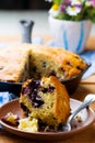 Blueberry Buttermilk Cornbread. Royalty Free Stock Photo