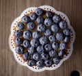 Blueberry cake Royalty Free Stock Photo
