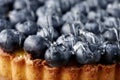 Blueberry cake Royalty Free Stock Photo