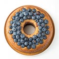Blueberry Cake with Hole in the Middle Royalty Free Stock Photo