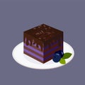Blueberry cake with layers of dark biscuit, topped with chocolate. It stands on a white round plate. Ripe large blueberries