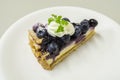 Blueberry Chees Pie Royalty Free Stock Photo