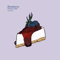 Blueberry cheese cake, hand draw vector