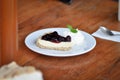 blueberry cheese cake or blueberry cheese pie, blueberry cheese tart Royalty Free Stock Photo