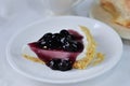 blueberry cheese cake, blueberry cheese tart or cheesecake Royalty Free Stock Photo