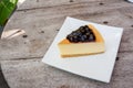 Blueberry cheese cake in white square dish Royalty Free Stock Photo