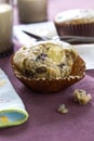 Blueberry cheese muffin