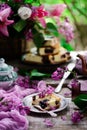 Blueberry cheesecake bars.style rustic Royalty Free Stock Photo