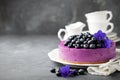 Blueberry cheesecake with fresh blueberries Royalty Free Stock Photo