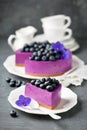 Blueberry cheesecake with fresh blueberries Royalty Free Stock Photo