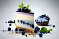 Blueberry cheesecake with fresh blueberries on a white background. Royalty Free Stock Photo