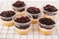 Blueberry cheesecake Royalty Free Stock Photo