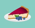 Blueberry cheesecake on white plate