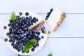 Blueberry cheesecake on a white wooden background