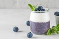Blueberry chia pudding with coconut yogurt in a glass with fresh berries for healthy diet breakfast. Vegan food