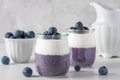 Blueberry chia pudding with coconut yogurt in glasses with fresh berries for healthy diet breakfast. Vegan food