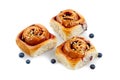 Blueberry cinnamon roll isolated white background Royalty Free Stock Photo