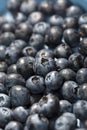 Blueberry closeup background Royalty Free Stock Photo