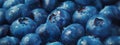 Blueberry closeup background, template for banner background. Food texture Royalty Free Stock Photo