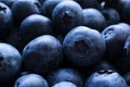 blueberry closeup background or texture Royalty Free Stock Photo