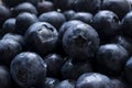 blueberry closeup background or texture Royalty Free Stock Photo