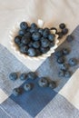 Blueberry closeup. Freshly picked blueberries in wooden bowl over rustic background.