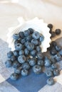 Blueberry closeup. Freshly picked blueberries in wooden bowl over rustic background.