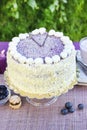 Blueberry and coconut layer cake