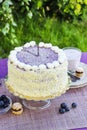 Blueberry and coconut layer cake