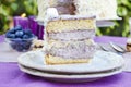 Blueberry and coconut layer cake