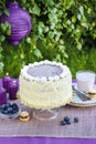 Blueberry and coconut layer cake