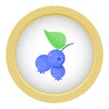 Blueberry colorful icon