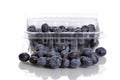 Blueberry Container Royalty Free Stock Photo
