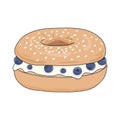 Blueberry cream cheese bagel sandwich. Fresh delicious bagel breakfast. Vector illustration.