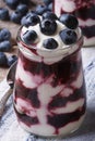 Blueberry cream in glass jar closeup vertical Royalty Free Stock Photo