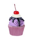 Blueberry Cupcake, muffin vector drawing on white. Royalty Free Stock Photo