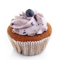 Blueberry cupcake Royalty Free Stock Photo