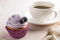 Blueberry cupcake on white wood background Royalty Free Stock Photo