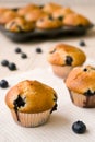 Blueberry cupcakes