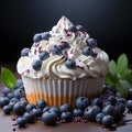 blueberry cupcakes Royalty Free Stock Photo