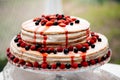 Blueberry currant crimson cake Royalty Free Stock Photo