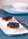 Blueberry Custard Tart Royalty Free Stock Photo